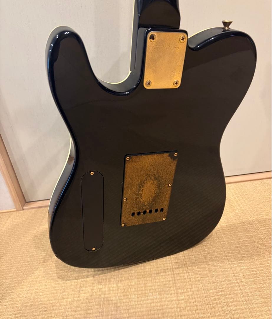 FERNANDES TEJ-55G リミテッドエディション