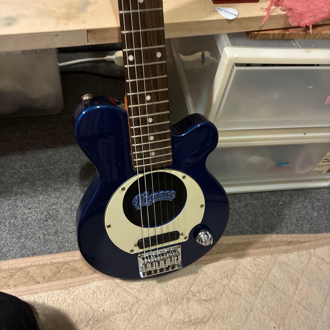 ピグノーズPGG200 青
