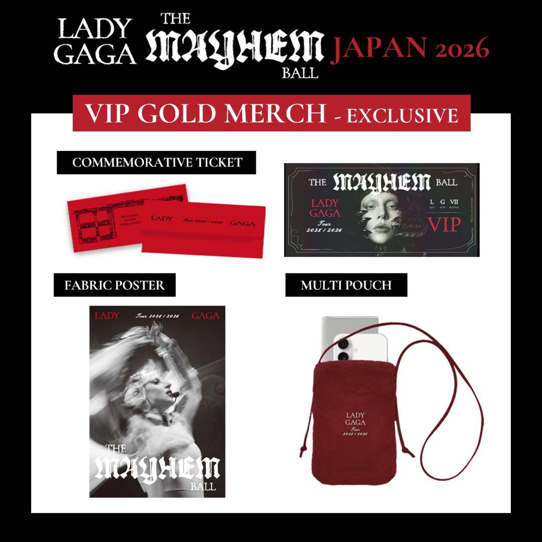 LADY GAGA VIP GOLD グッズ【フルセット】