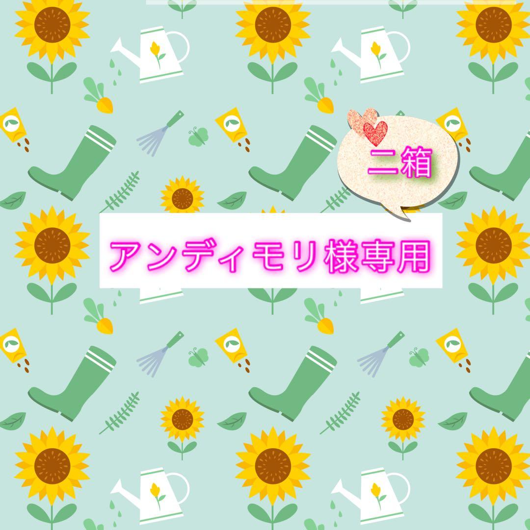 アンディモリ