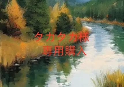 タカタカ購入