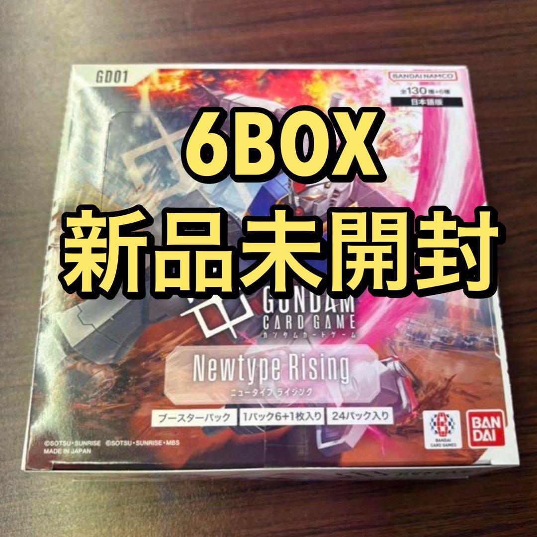 newtype rising 6BOX 新品未開封