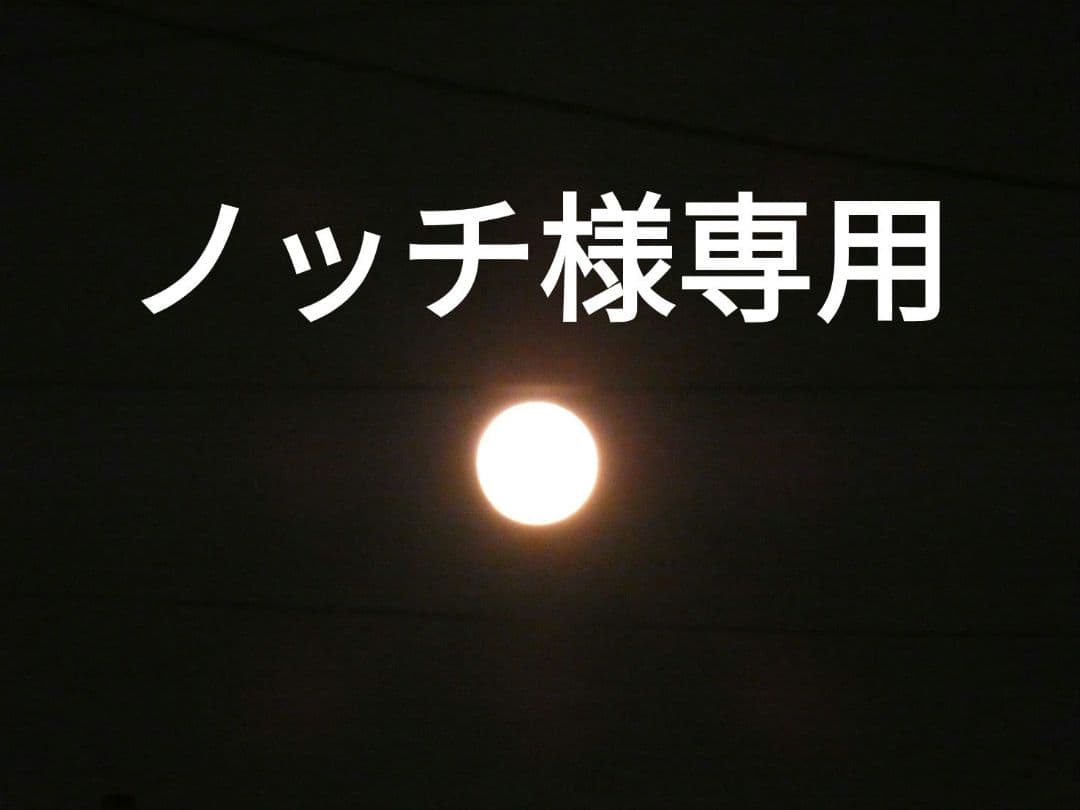ノッチ