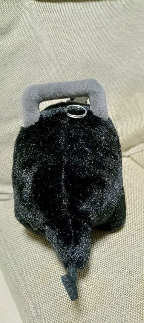 黒ポチタ