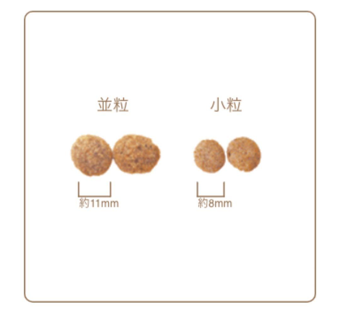 【24時間以内発送】AZ アゼット パピー 10kg