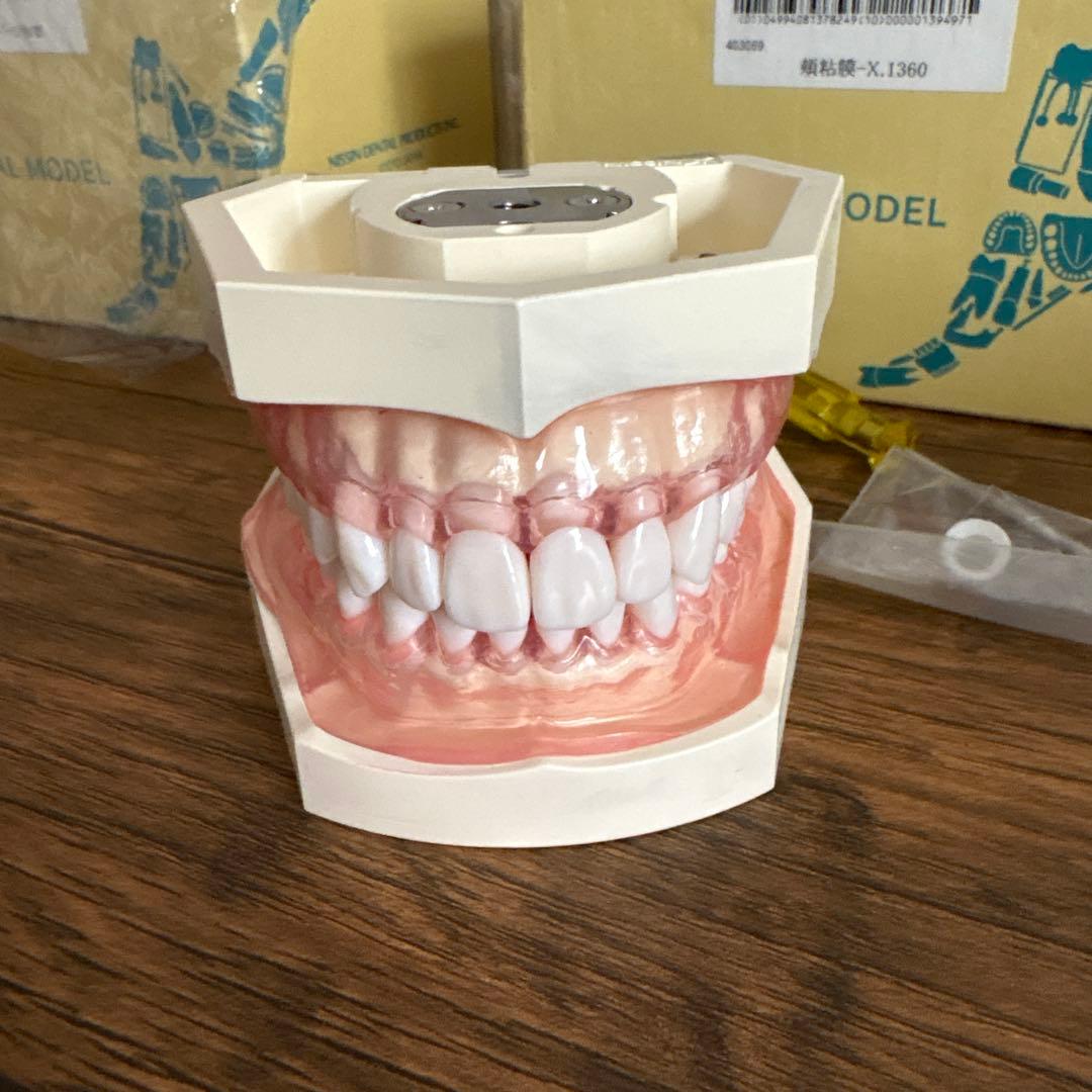 美品　NISSIN シンプルマネキン模型ホルダー　Hu-Friedyスケーラー等