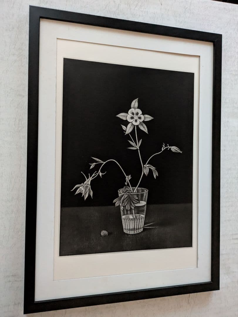 c長谷川潔の500部限定作品 「コップに挿したアンコリの花」 真作保証