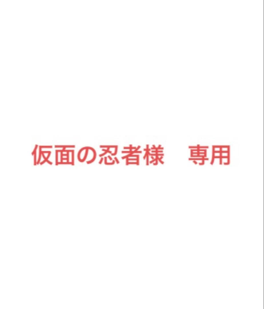 仮面の忍者