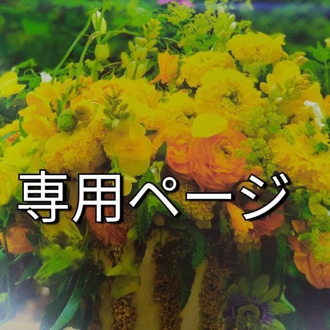 しっしー/2