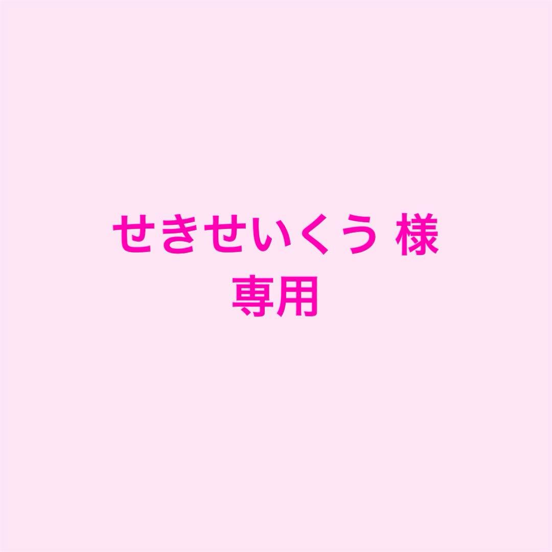 せきせいくう 王一博 A4バインダー・ミニカード3点