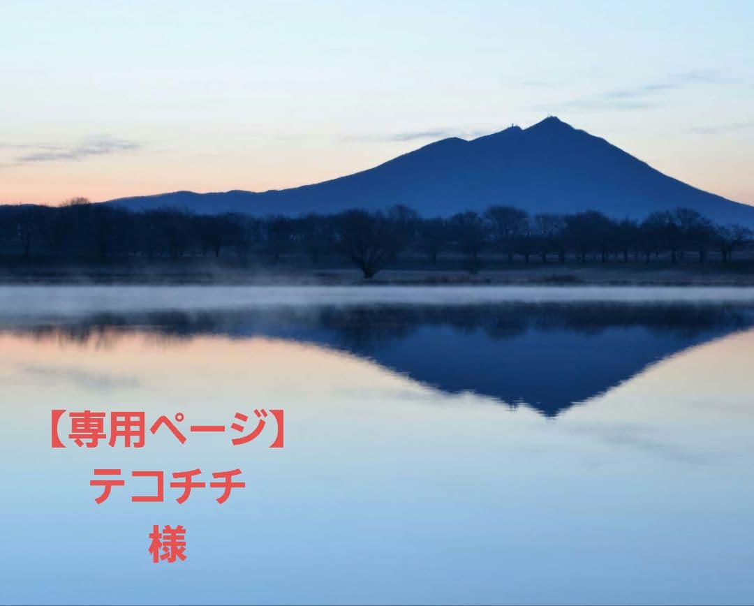 九谷焼　皿