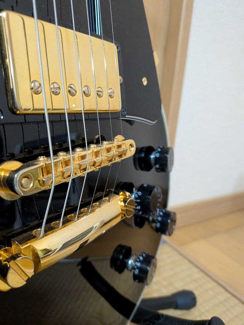 Fujigen NLC20EMH 　エボニー指板　レスポールカスタムタイプ