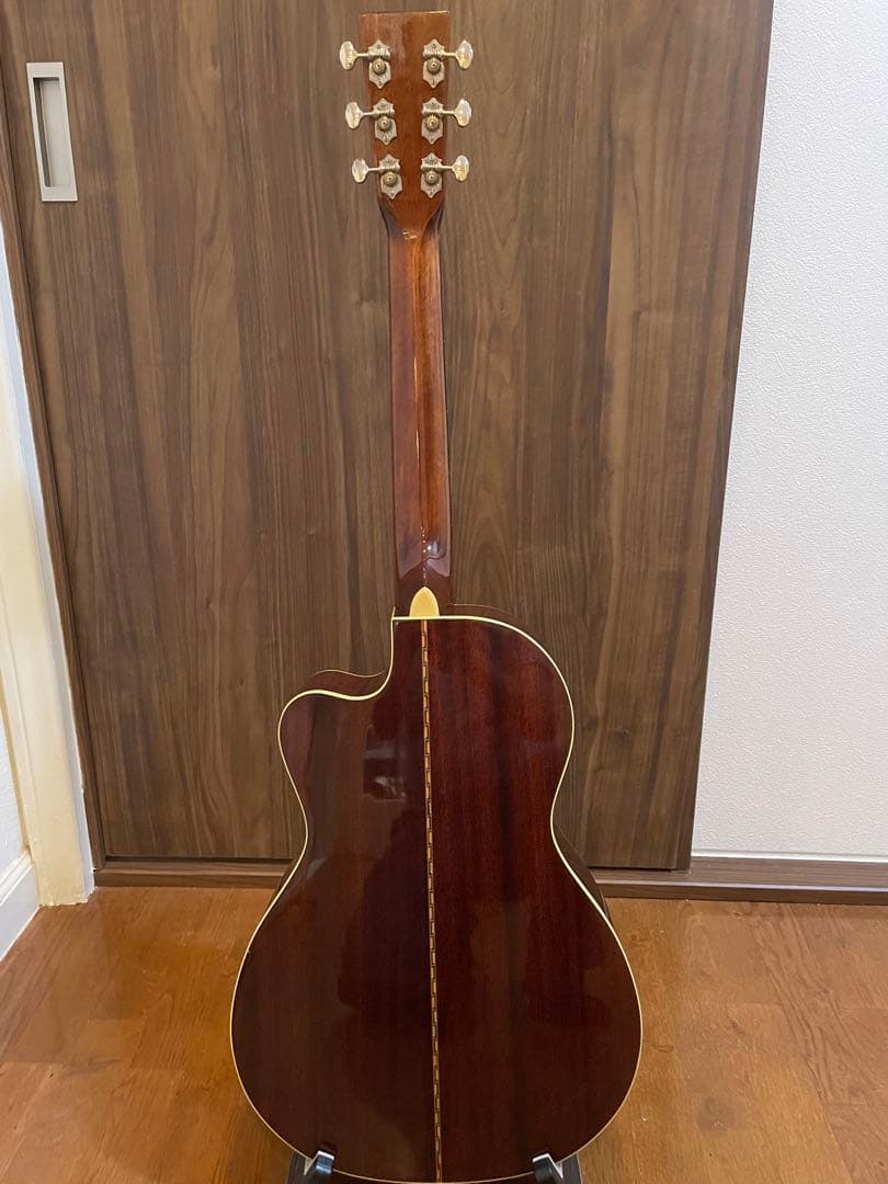 ギター Recording King RP1-16c / Adeline pickup