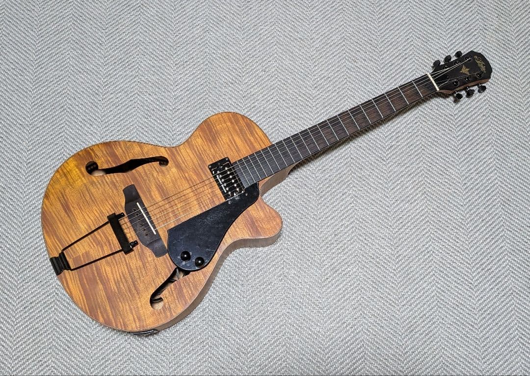 ギター Modified Aria FET-F2 with Seymour Duncan