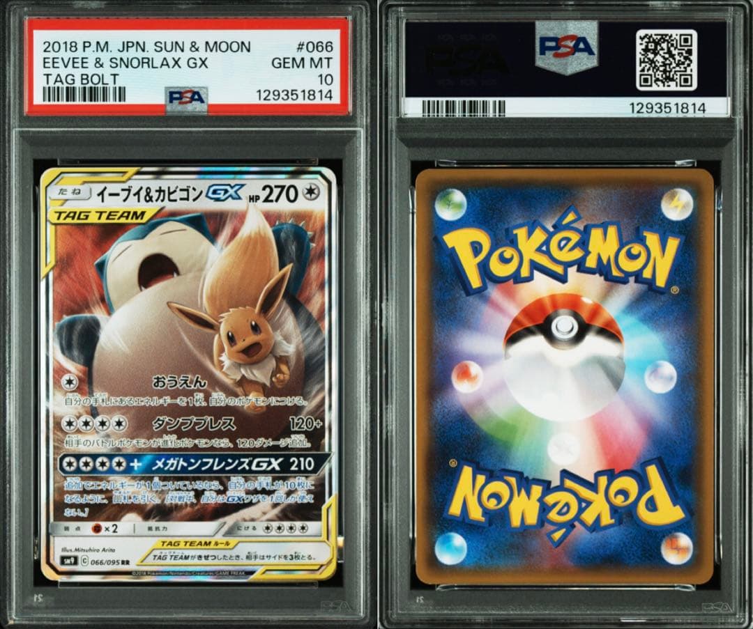 PSA10 GX RR10枚セット　レシリザ　3鳥　ミュウミュウ　等鑑定品
