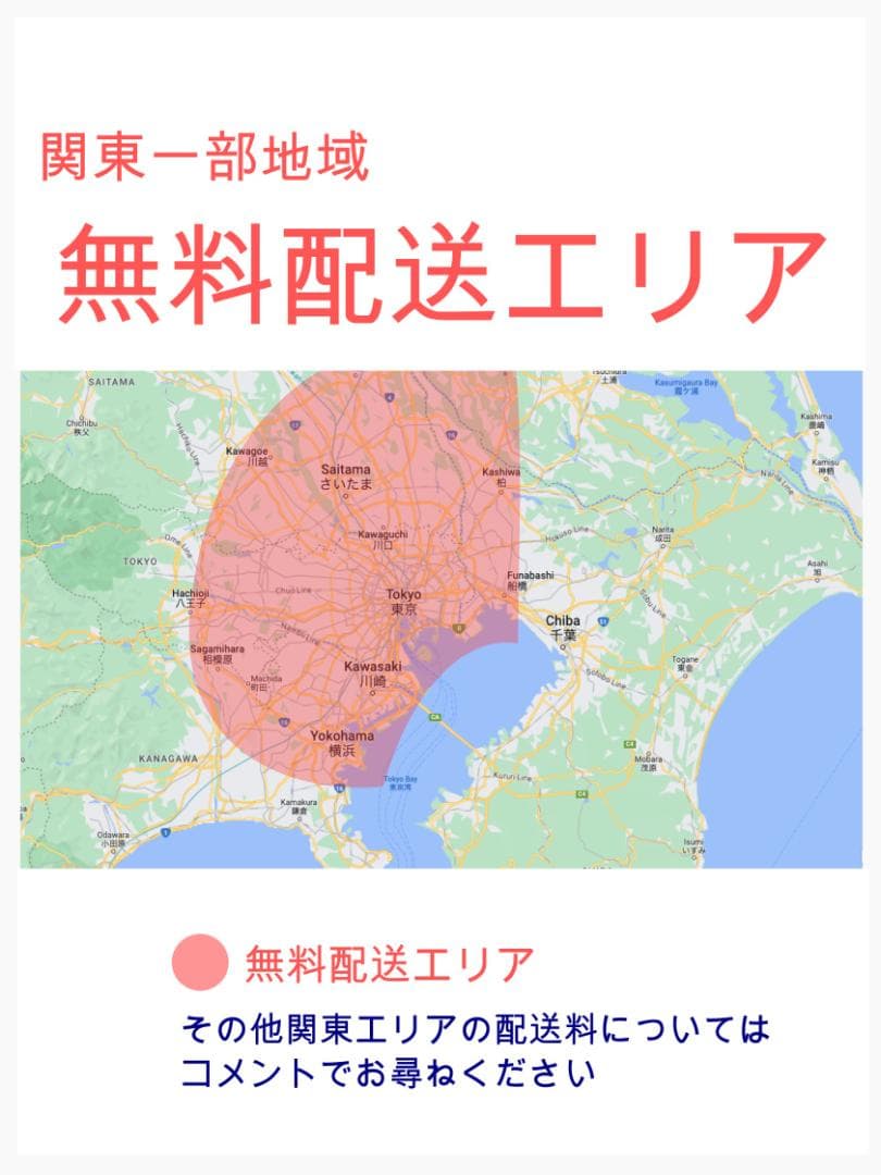 超特価 レッド系 パナソニック 子供乗せ電動アシスト自転車 ZH3338