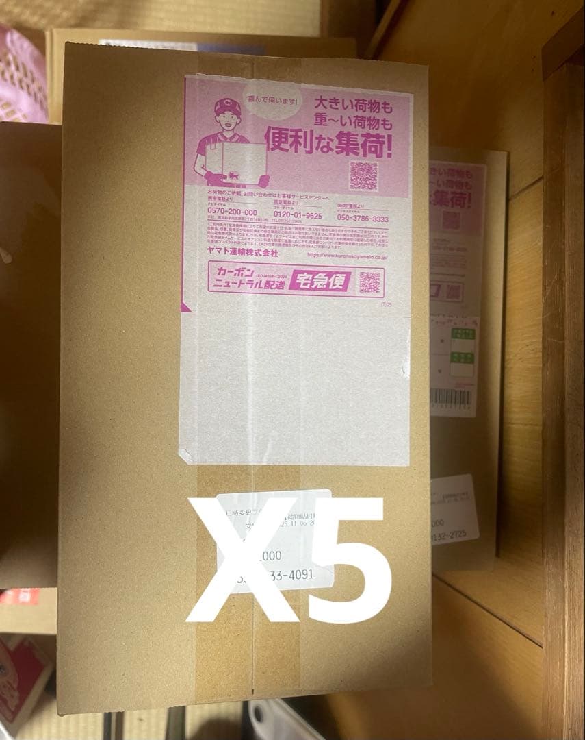 ポケモンカード　スペシャルBOXトウホク　ピカチュウ　トウホク