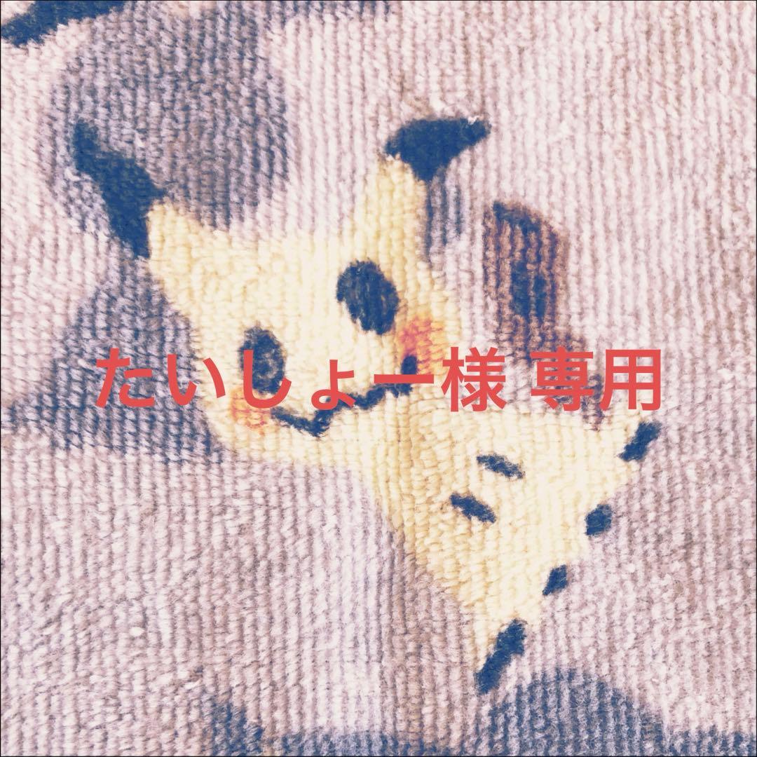たいしょー