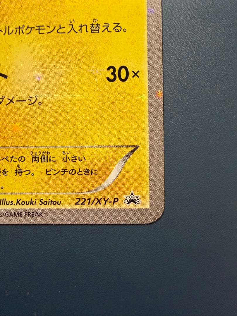 お公家さまと舞妓はんピカチュウ：「おこしやすジョウト」キャンペーン PROMO…