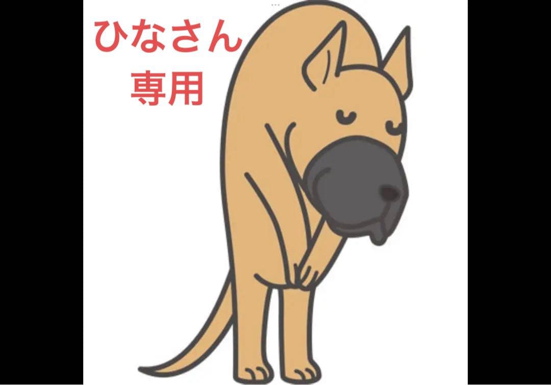 鮭　二匹