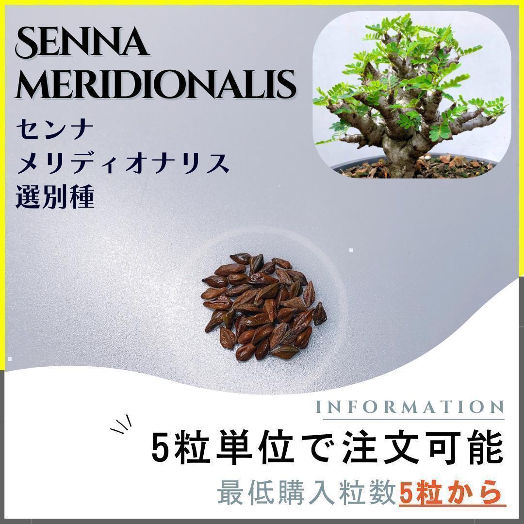 【ht_plants farm】