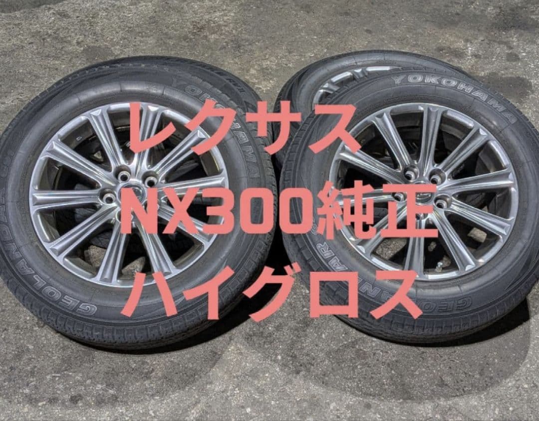NX300 17インチB