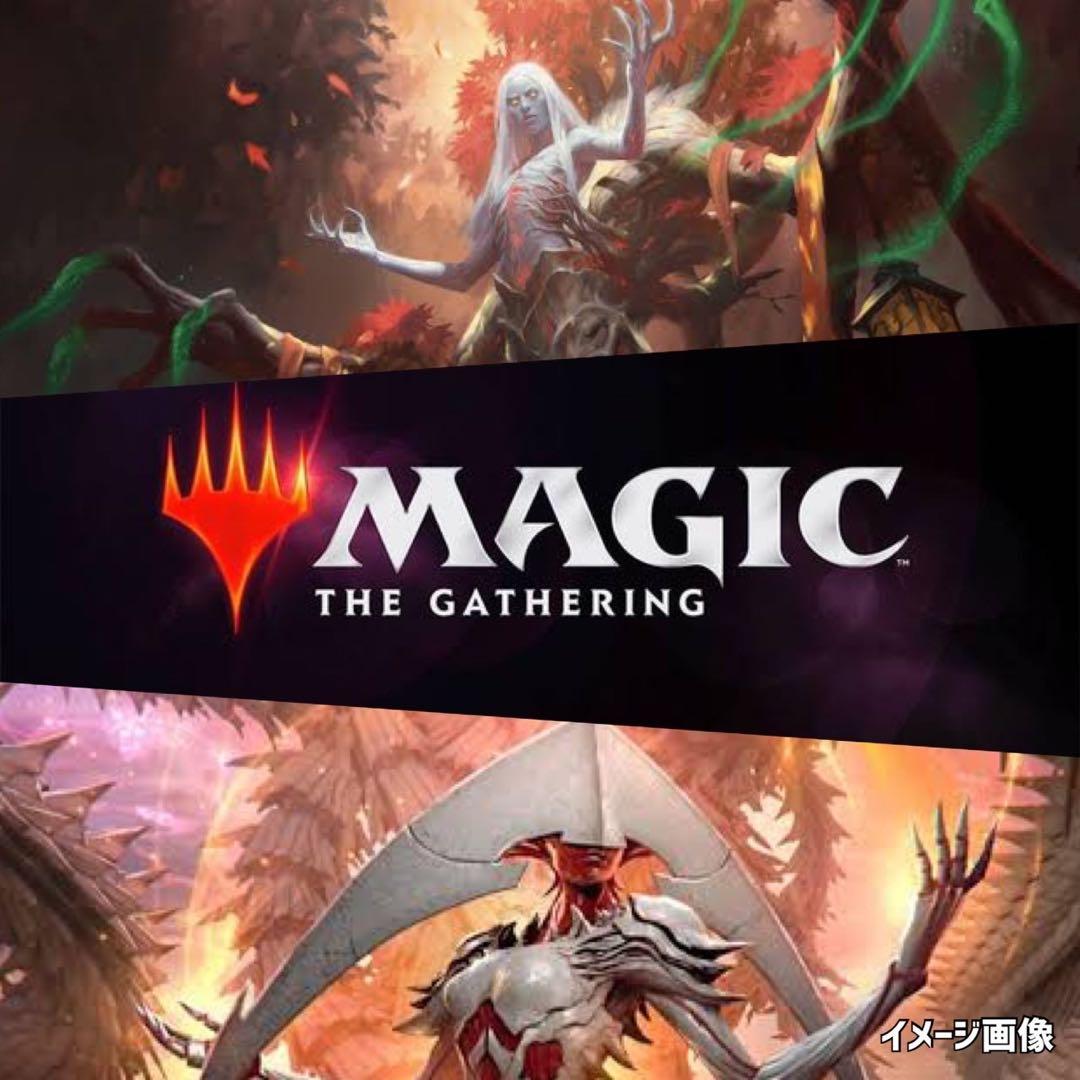 ホームランドLANDSマジックザギャザリング《未開封パックMTG絶版