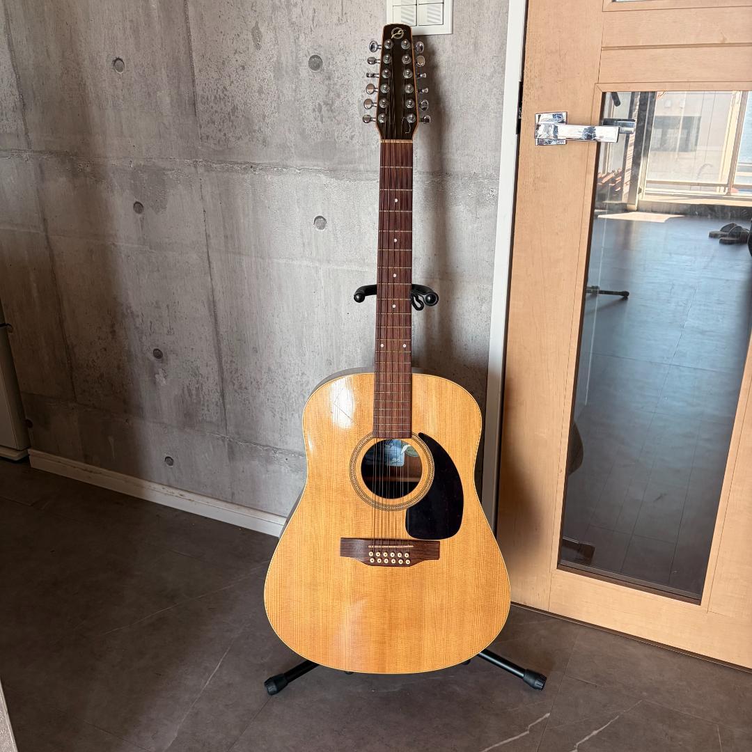 Seagull Guitars　カナダシーガル製12弦ギター M12 CLOSS