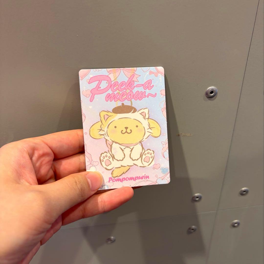 【海外限定品】Peek-a-meaw ポムポムプリン カード付 猫耳 マスコット