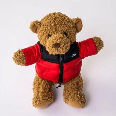 ザ ノースフェイス TNF ヌプシベア ぬいぐるみ 赤 レッド