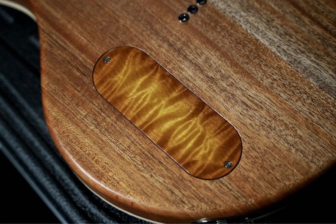 ⭐︎レア⭐︎ PJD Guitars Carey limited