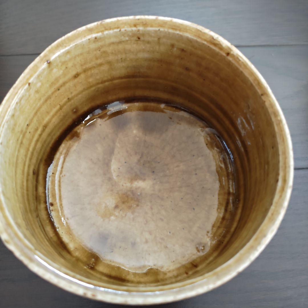 加藤春鼎　黄瀬戸　茶碗　共箱付　茶道具
