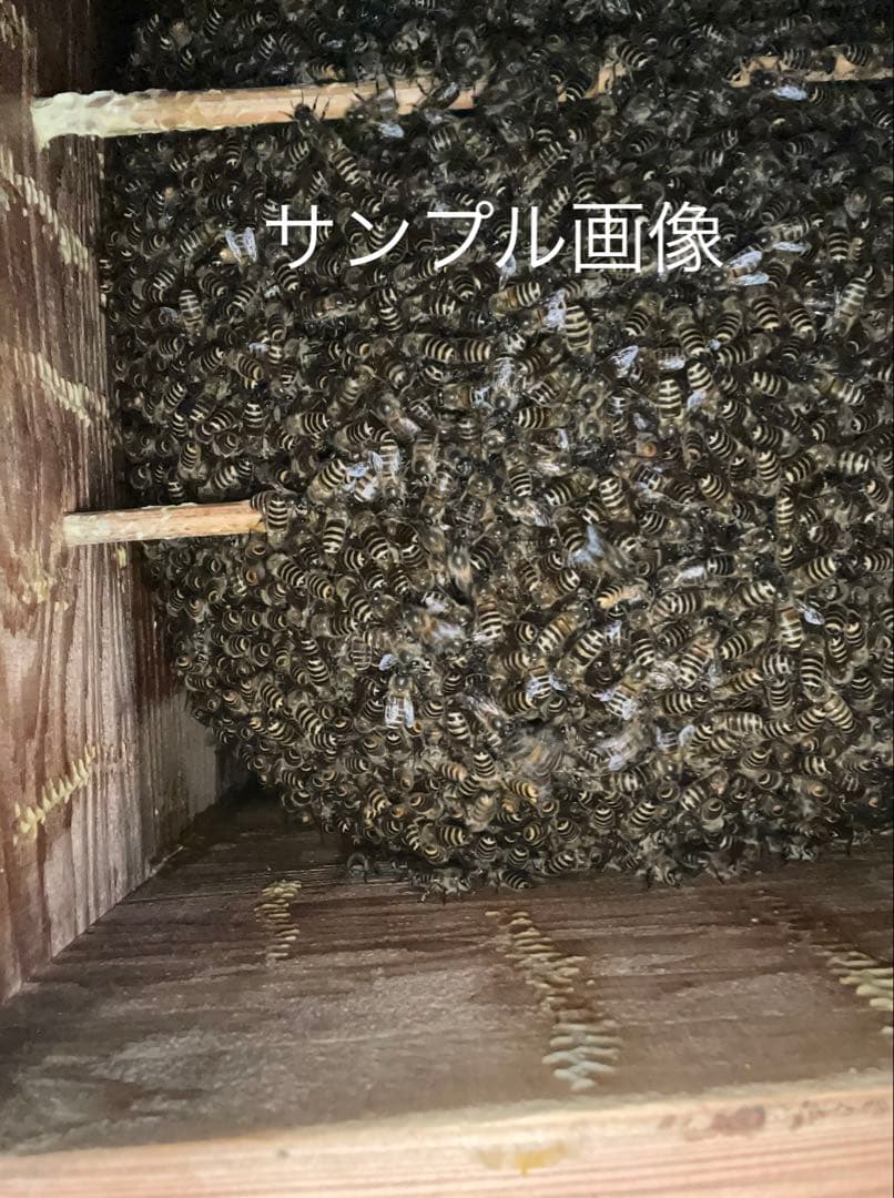 日本蜜蜂重箱式巣箱の巣箱三箱！ハニーズハウス用！超訳あり特価！ニセット！送料無料