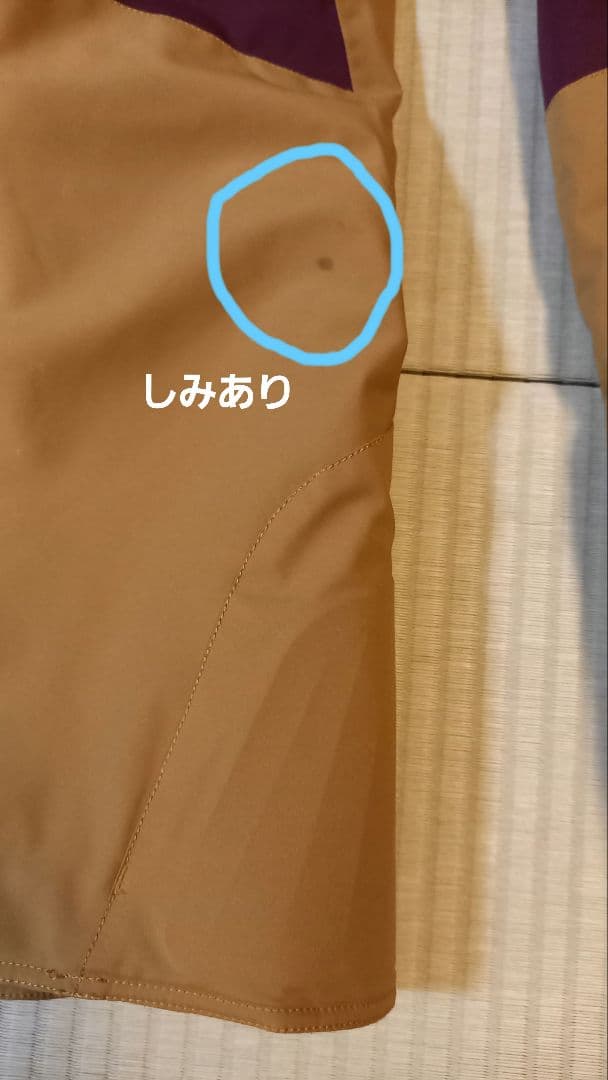 MIZUNOミズノ　希少カタログ外クルーモデル上下　サイズL