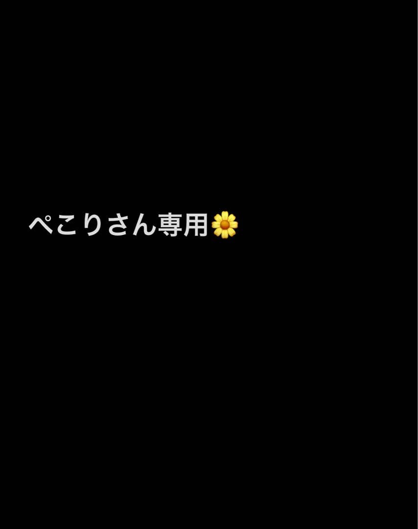 【ぺこりさん専用】Beach Access HSソフトボード 6'10\