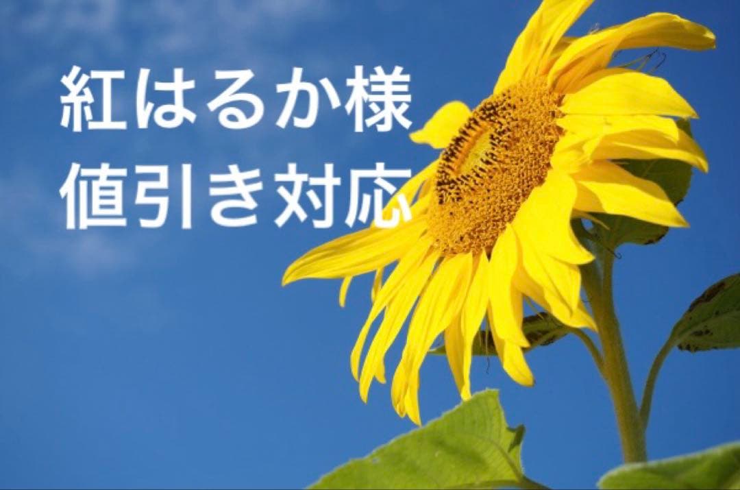 紅はるか様