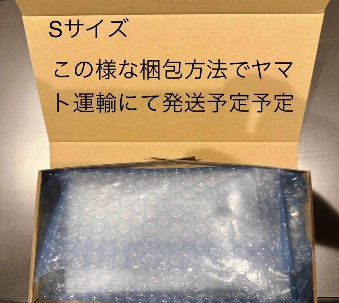 PSA10メガゲンガーex #240 SAR2869