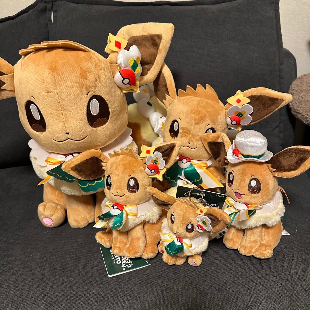 新品　ポケパーク　カントー　 ショップ　限定 イーブイ　ぬいぐるみ5体セット