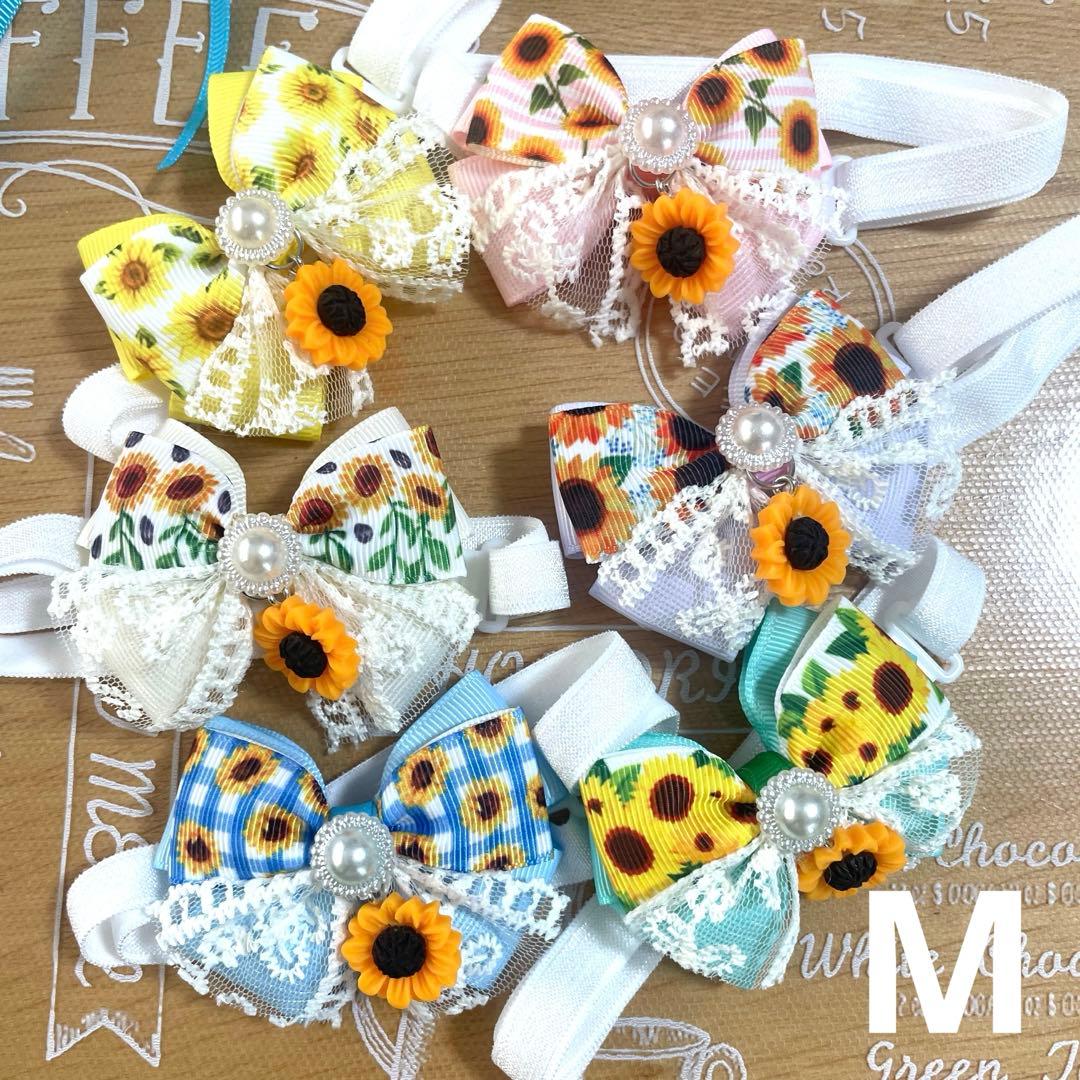 姫香ページ トリミングチョーカー 夏