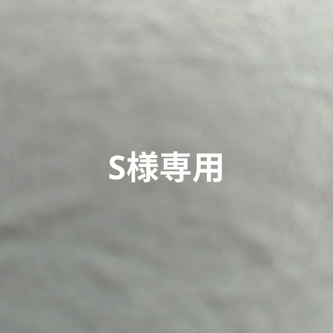 その他 S