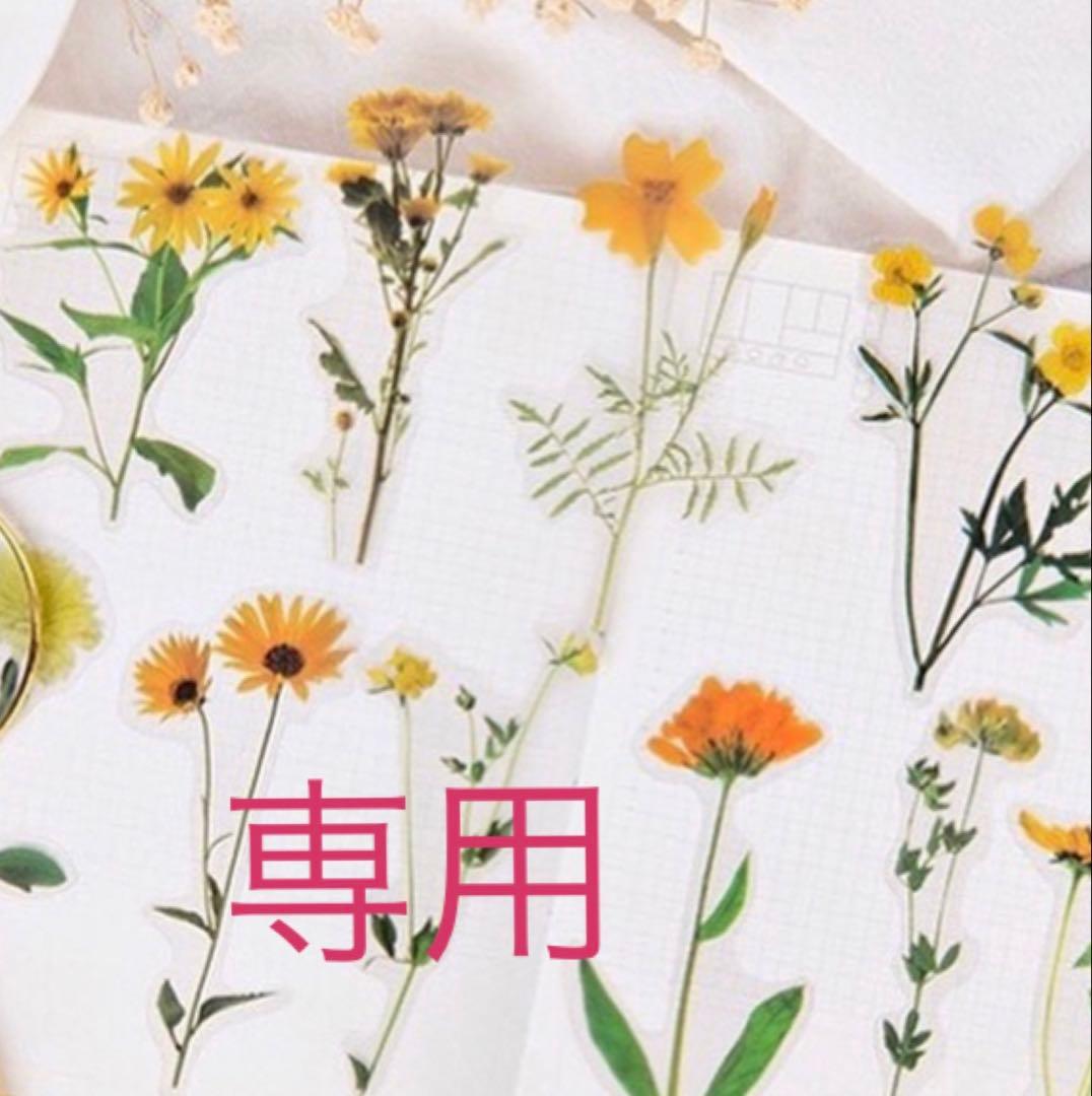 【　専用　】