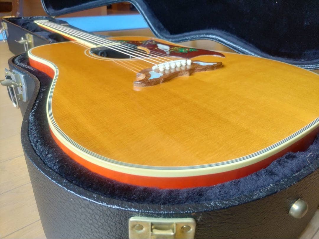 美品希少品　Gibson Dove custom2015年製