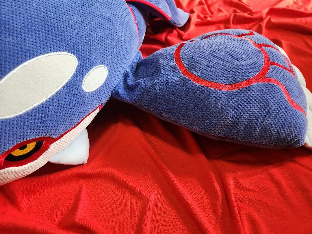 ポケモン　ハートランド　カイオーガ　ぬいぐるみ　ほーのぼ～の