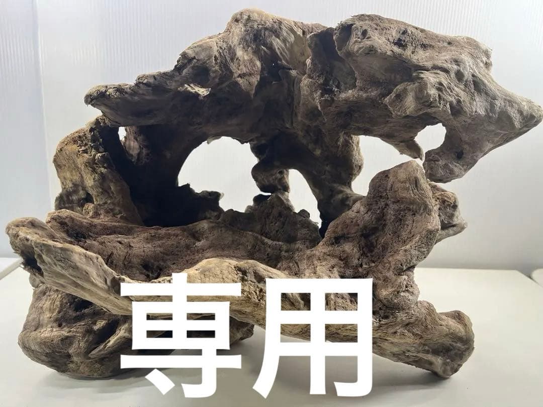W30大型流木アク抜き済み流木 爬虫類シェルター 登り木 インテリア 生け花