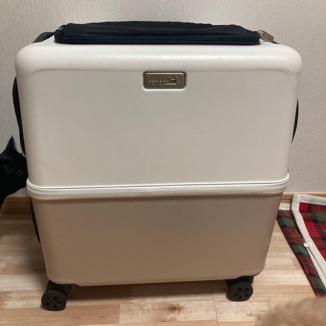 ペチコ