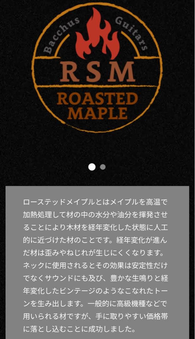 Bacchus GS-4DX RSM/M BLK ステンレスフレット