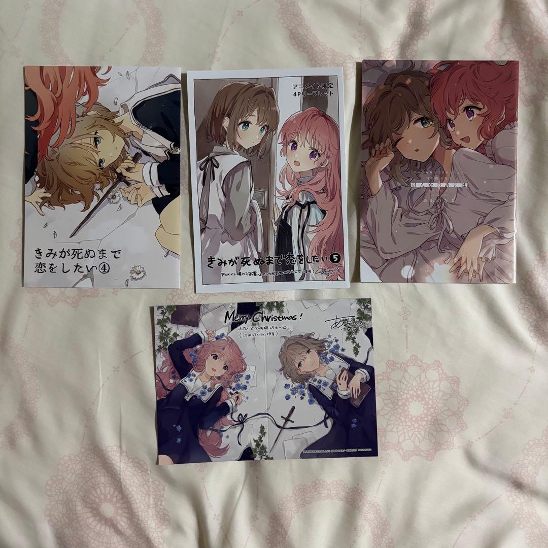 きみが死ぬまで恋をしたい　アニメイト　特典　特装版小冊子　クリスマスカード