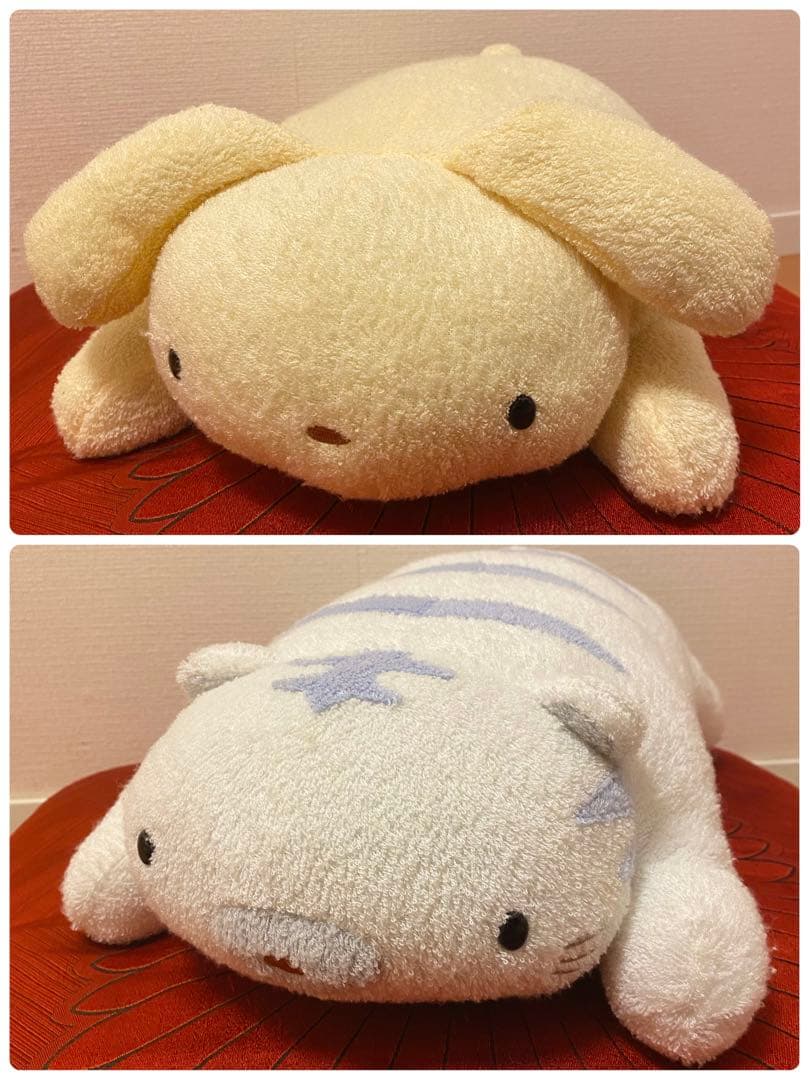 fricca フリッカ まつもと ましゅまろせらぴ うさぎ・ホワイトタイガー