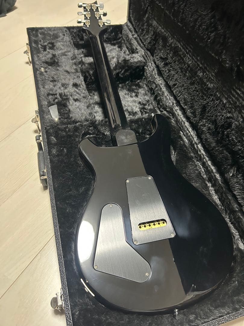 PRS custom22 DsKs