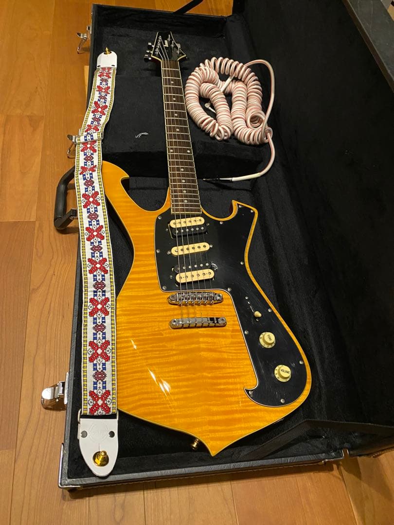 Ibanez アイバニーズFRM250MF ポールギルバート